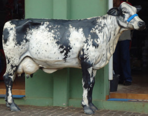 vaca girolando 1 em fibra 1,99mx1,42m
